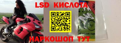 гидра Славгород