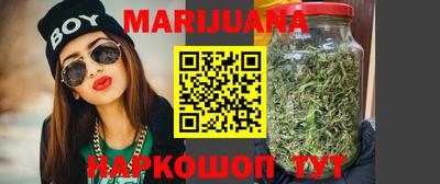 гидра Славгород
