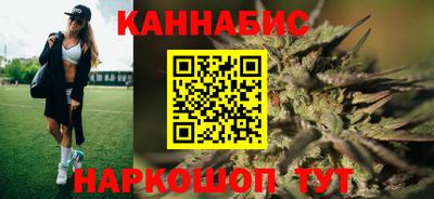 гидра Славгород