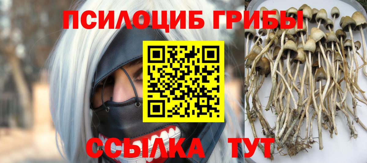 Псилоцибиновые грибы мухоморы  Вход с VPN  Новотроицк 